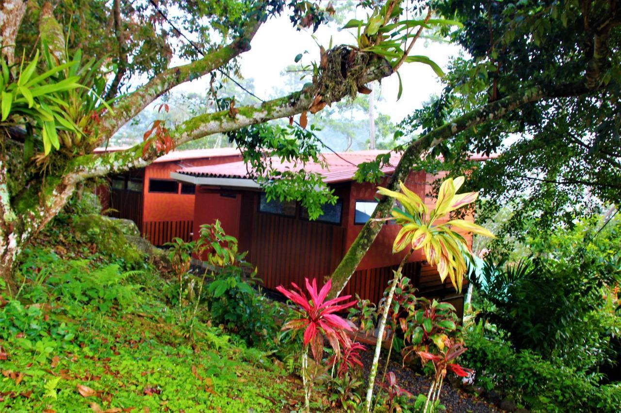 Casitas Eco Bambu Villa Cartago Eksteriør billede