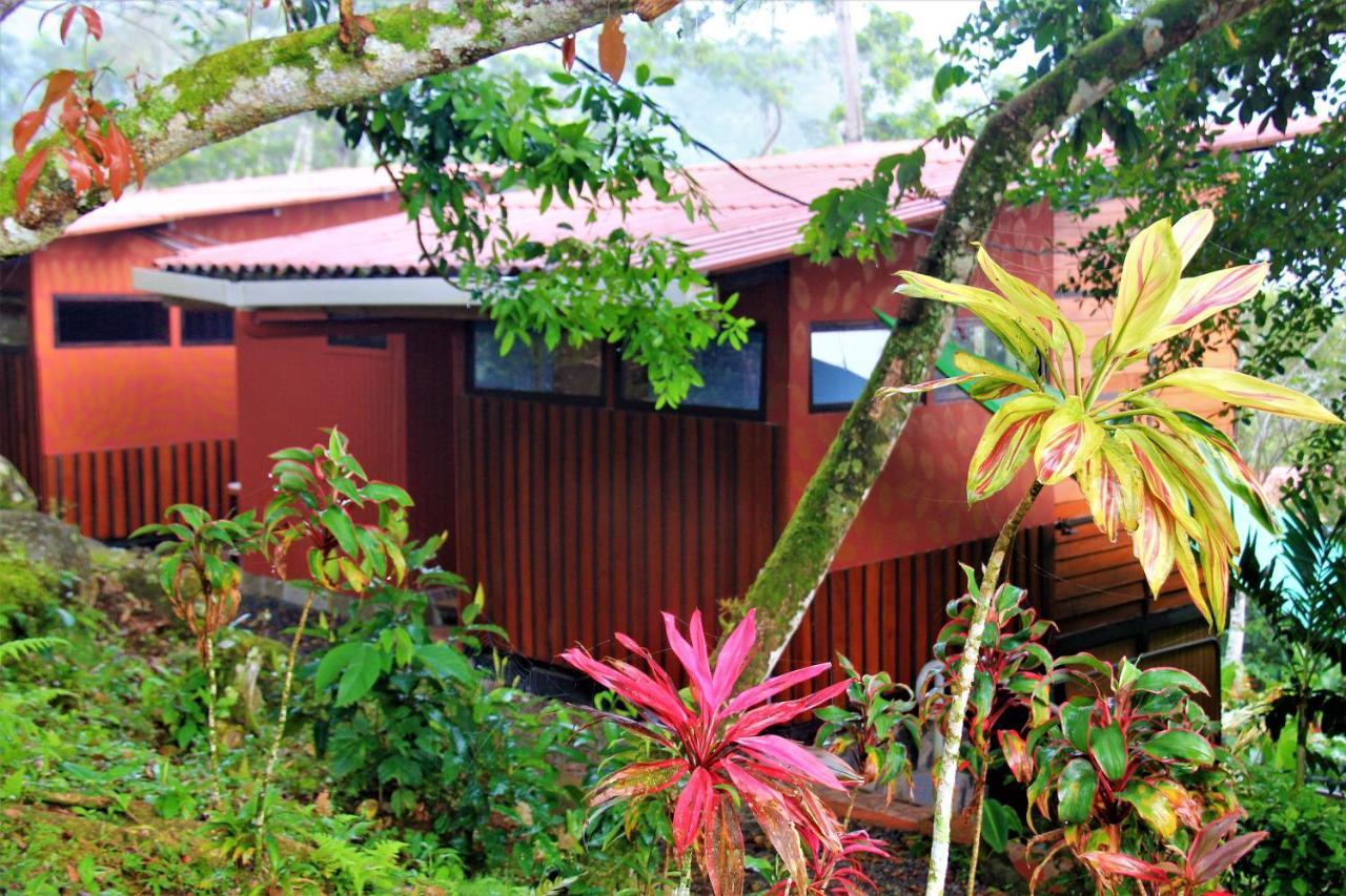 Casitas Eco Bambu Villa Cartago Eksteriør billede