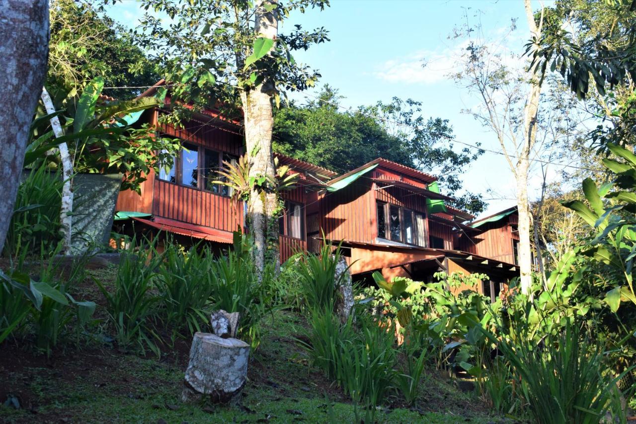 Casitas Eco Bambu Villa Cartago Eksteriør billede
