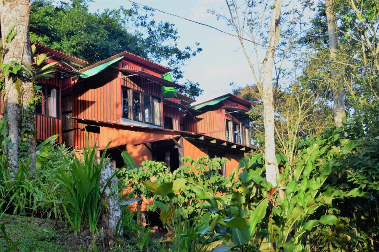 Casitas Eco Bambu Villa Cartago Eksteriør billede
