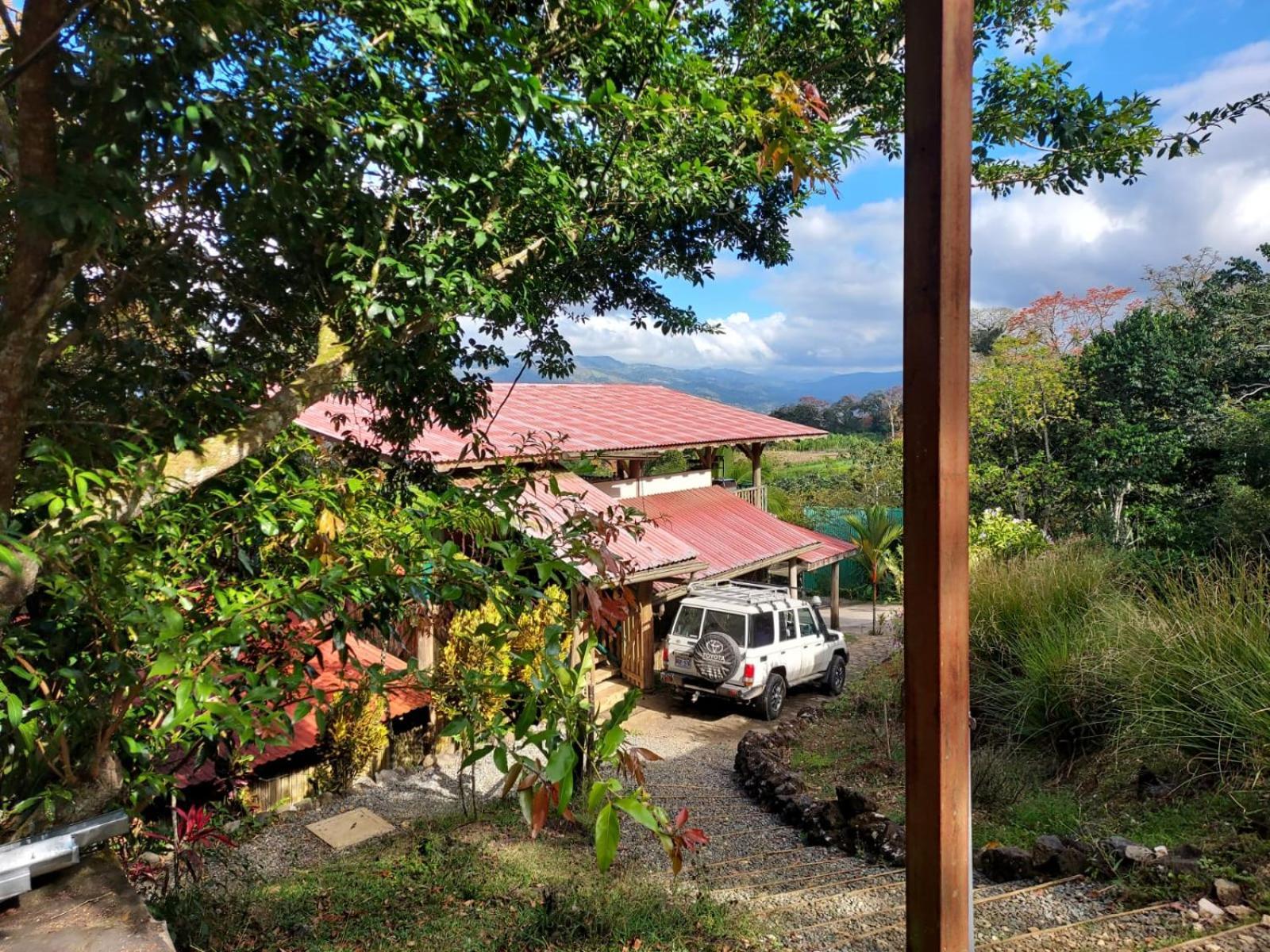 Casitas Eco Bambu Villa Cartago Eksteriør billede