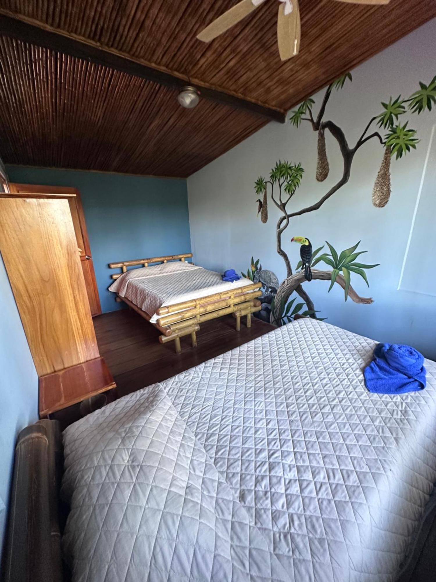 Casitas Eco Bambu Villa Cartago Eksteriør billede